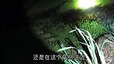 白天热不好钓鱼，早上四点出发钓鱼，鱼会好钓嘛？一会就知道了