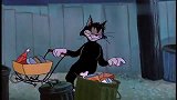 猫和老鼠：流浪猫咪假装婴儿，欺骗汤姆感情，只为了偷吃的！
