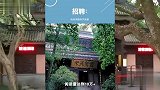 买手串、上禅修营，寺庙能治好年轻人的精神内耗吗？