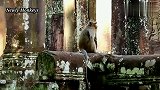 坏猴子折磨小猴子最棘手的就是这招，美国小猴子生不如死