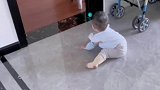 我家猫咪会带娃哎