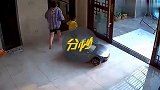 妹妹即将摔下楼梯，哥哥的本能举动让母亲感动