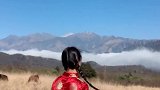 深山的鹿，不知归处；万般皆苦，唯有自渡！