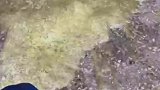 大学宿舍硬核大扫除，拿强硫酸腐蚀大理石地面！