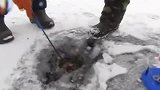 男子冰上钓鱼  冰洞意外钻出这货