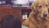 小宝贝笑起来的时候，真的超级可爱