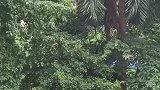 这个手电筒也太亮了吧，一打开全世界都亮了