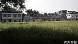 农村小伙在草丛意外发现，3米长的大蛇弃甲而逃，捞起来看吓坏了