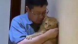 男子喝醉酒抓着橘猫讲道理，白猫一旁看热闹也躺枪