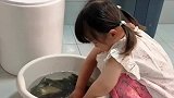 小棉袄把老爹的心血放生