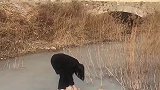 威力这么大的炮，还是头一回见