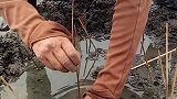今天赶海遇见一位捉骷髅虾的老大爷