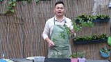 繁殖月季用什么基质生根最快？看完又学一招