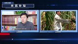 好消息！这一政策实施后土地赔偿不用担心被贪污！老百姓有福啦！