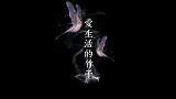 风吹百花香，小河水流淌，网友：意境太美了！