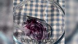 挑战用牙膏做泥，无硼砂无胶水，自己做的玩得更放心