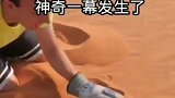 把干冰放到沙漠上，神奇一幕发生了，你知道是什么原理吗？