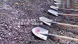 亲手种下了一颗树苗，收获了一片希望，留下了一份美好见证。