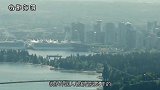 中国超市卖不动的商品，被印度人疯抢，印度人：中国人太聪明