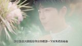 肖战臂力太强一只手抱起羊驼，在怀里超乖巧，悬空吻脖子过分了