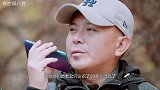 刘涛和她老公认识20天就结婚了，原以为是现实，真相却是如此！