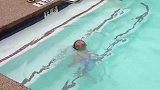 一岁小女孩坚持游泳，在水里随意翻转的姿势俨然一条美人鱼！