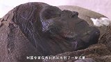 西北出土3900年前艳丽女尸，看完血统基因，专家：这不可能！