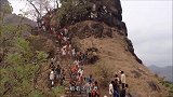 一匹马跑进老虎领地，老虎们恨的牙痒痒，看完请忍住别笑