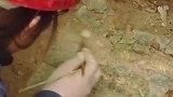 穿越者存在的铁证河南出土一500年石碑，碑文扯淡，再不来了