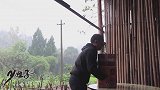四娃网购一箱啤酒，是大家推荐的橙色炸弹，据说味道很不错