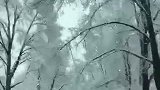 冬天的川藏线—新都桥雪景