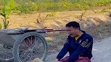 兄弟，我要被你笑出八块腹肌来了！哈哈哈