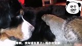 今天的阳光有点刺眼啊，不过没关系，我体内的力量正在觉醒！