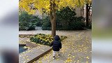 蔡少芬忙里偷闲看山景扎双马尾怼脸自拍轻松扛住镜头