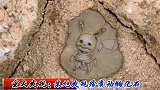 搞笑配音：要是不打怕挨揍的话，此化石可以在北上广换一套房