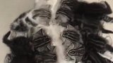 猫：带这么多熊孩子真不省心呀！