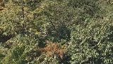 转眼夏天变成了故事，秋天变成了风景