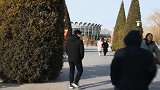 安宁走基层：北京是个大花园——2019年春节赏花