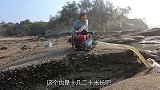 格外浑浊的20米长条坑，抽干后海货到处乱蹿，一条飞鱼直接跃出