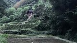 狗是人类忠诚的朋友，多少年了都在等待这一刻的重逢