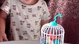 老公选的这个仿真小鸟玩具，可把两个娃乐坏了
