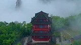 天子山云海，太漂亮了