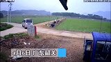 偷狗者给狗下药被发现后，疯狂逃窜