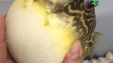 我不要故意的！