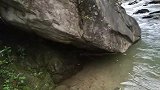 夜钓石鲶鱼，用这种原始饵料，才能钓到大鱼