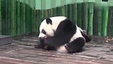 别光自己吃啊！也给兄弟分点