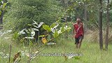 傻孩子野外游玩，捕获巨大鳗鱼，烤着吃真香