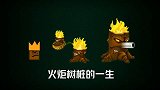 火炬树桩的一生，终成真正的战士！万物皆可植物大战僵尸