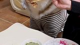 狗子守吃也要仪式感