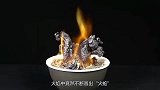 “火蛇”是怎么出现的将白砂糖点燃后，不可思议的现象发生了！